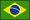 Brazilian Portuguese Language